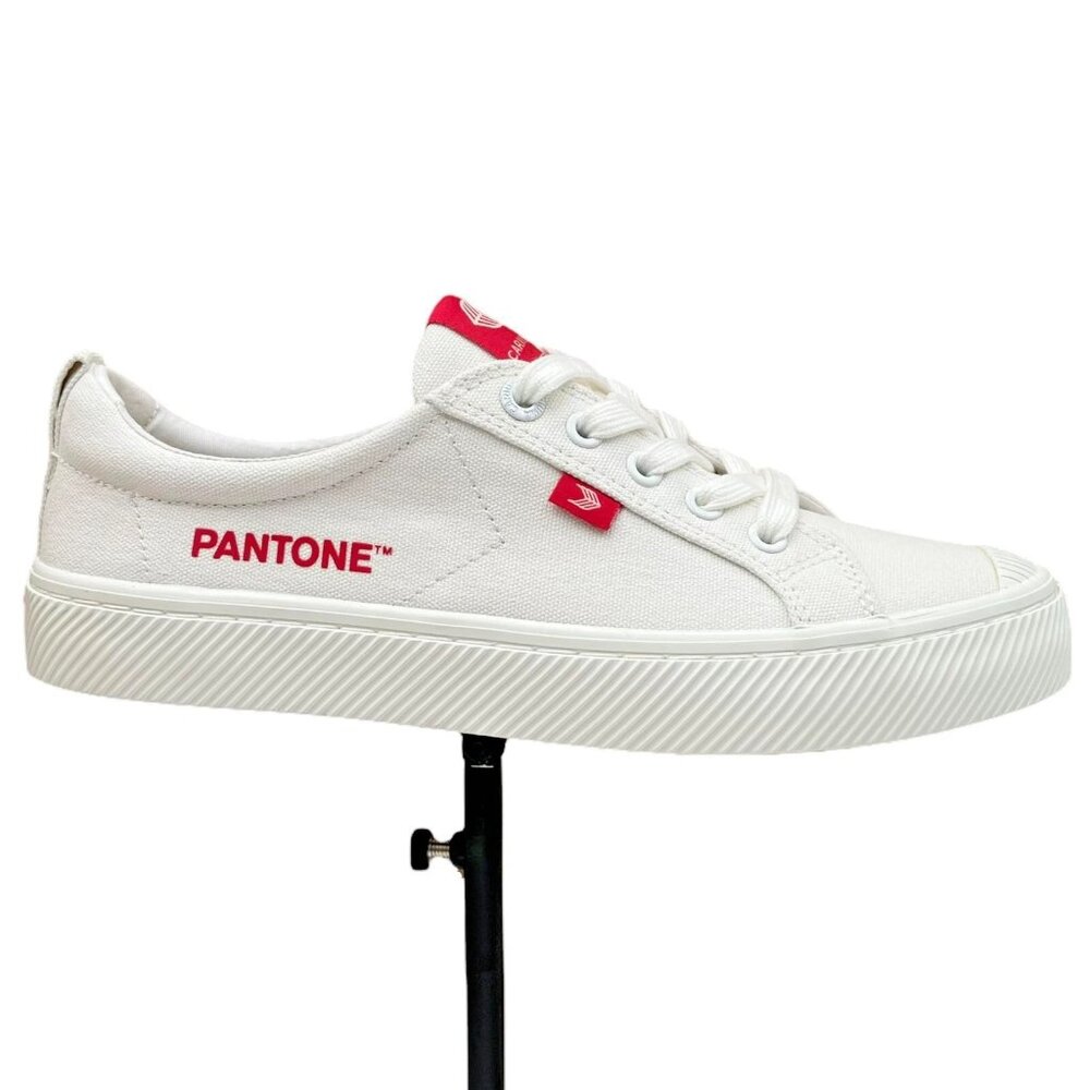 Cariuma Women's Oca‎ Low Pantone Canvas Sneakers Size 8.5 Off-White Casual Comfy